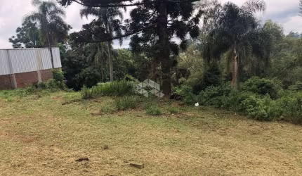 Terreno com vista panorâmica no Pinhal Alto em Nova Petrópolis