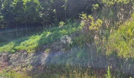 Terreno com 936,02 m2 em área arborizada na serra gaúcha a venda por R$ 159.000,00
