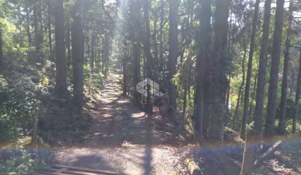 Chácara no Pinha Alto  em Nova petrópolis