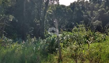 Ótimo terreno em Nova Petrópolis ' Linha Olinda '.
