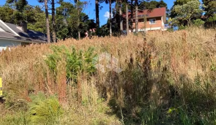 Excelente terreno em Nova Petrópolis.