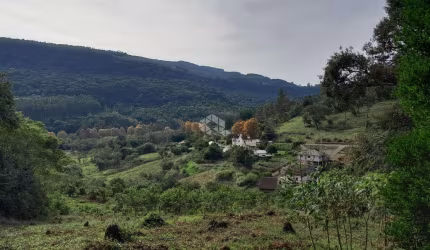 Terrenos com vista