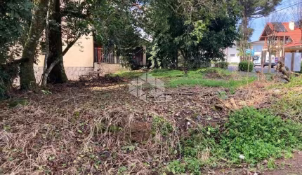 Terreno central