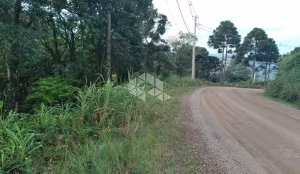 Terreno próximo ao centro em Nova Petrópolis