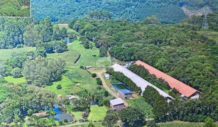 Granja porteira fechada a venda