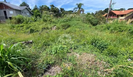 Terreno plano