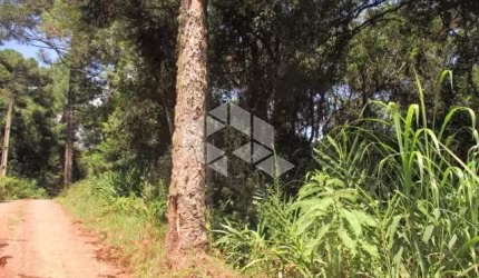 Chácara em Nova Petrópolis na serra gaúcha