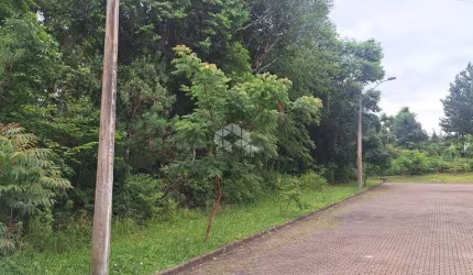 Terreno na serra gaúcha com 370 m2 em área residencial de constante valorização.