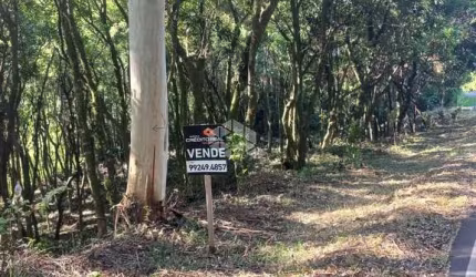 Chácara no munícipio de Linha Nova na serra gaúcha.