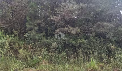 Terreno com 367,44 m2 na serra gaúcha a venda por R$ 238.500,00