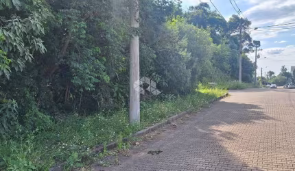 Terreno com 517,04 m2 em área nobre na serra gaúcha por  R$ 540.600,00