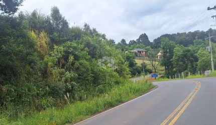 Área de terras com 9.800,00 m2 na serra gaúcha por R$ 901.000,00