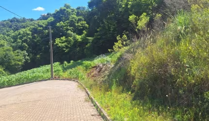 Terreno com 464,02 m2 em área arborizada na serra gaúcha