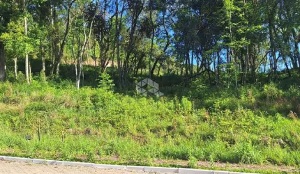 Terreno com 426,60 m2 em área arborizada na serra gaúcha