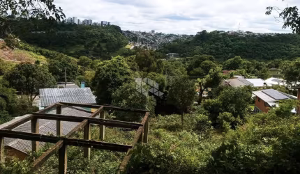 Terreno com vista