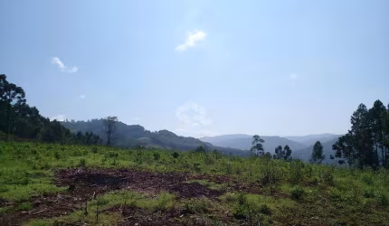 Chacara em Pinhal Alto Nova Petrpolis