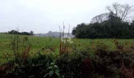 Terreno de 3.020,03 m² de Esquina à Venda em Santa Maria do Herval, Bairro Vila Nova