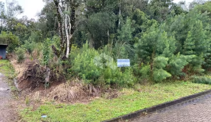 Terreno em bairro tranquilo com infraestrutura