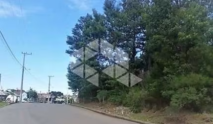 Terrenos na Linha Imperial