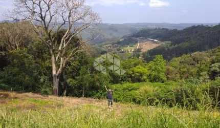 Terreno em Pinhal Alto