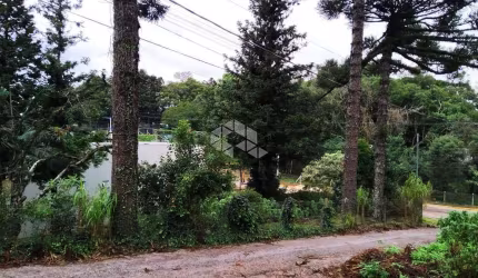 Terreno noo centro de Nova Petrópolis na Serra Gaúcha