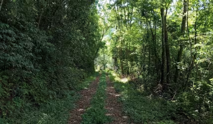 Chácara de 2,4 ha para venda por R$ 250.000