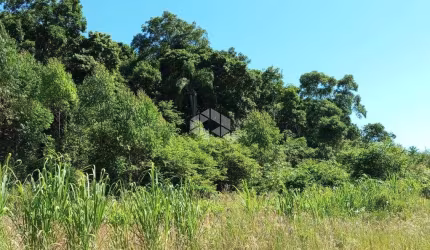 Excelente Chácara na Serra Gaúcha