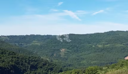 Chácara de 2 ha para venda por R$ 220.000