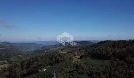 Belíssima área de 2,3 ha a 800m do asfalto e a 11 km do centro de Nova Petrópolis.