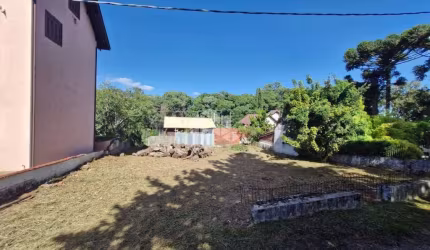 Terreno central