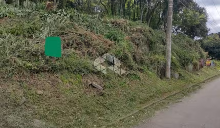 Excelentes  terrenos com vista
