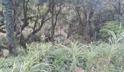 Terreno próximo ao centro em Nova Petrópolis