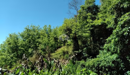 Belíssima área de terra próximo ao centro de Nova Petrópolis, RS.