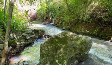 Linda área com Riacho na Serra Gaúcha