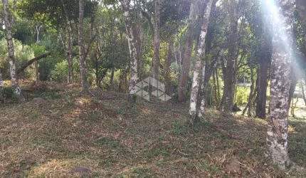 Excelente terreno amplo com boa frente