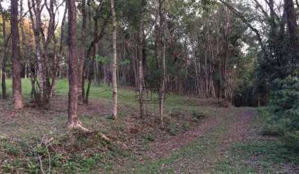 Terreno para venda  no Bairro Vila Rica em São Sebastião do Caí