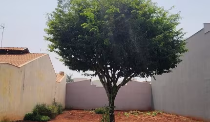 Terreno 250m² Portal dos Pioneiros