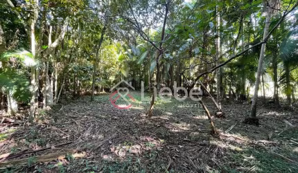 Terreno à venda no Testo Alto, Pomerode  por R$ 310.000