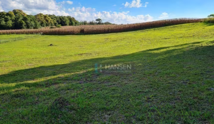 Terreno à venda, 3527 m² por R$ 980.000,00 - Belo Horizonte - Campo Alegre/SC