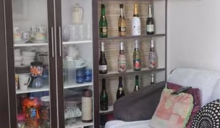 Apartamento de 42m² com 2 quartos - Vila Indiana