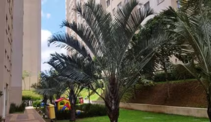 Apartamento a venda Jardim celeste