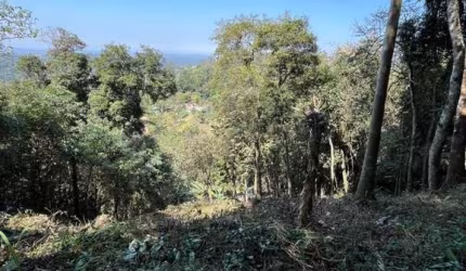 Terreno à Venda Próximo ao Condomínio Delfim Verde