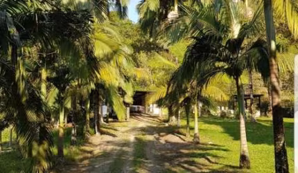 SÍTIO / FAZENDINHA – 9,3 HECTARES DE PURA NATUREZA - RUA SETE BARRAS - NOSSA SENHORA  DO Ó - SP