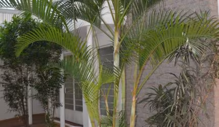 Casa 268m², 02 dormitórios e 02 banheiros .  Excelente localização, entre as Ruas Barão do Sabará, Gabriele D'Annunzio