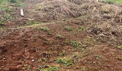 Terreno à venda, 175 m² por R$ 149.000,00 - Laranjeiras - Caieiras/SP