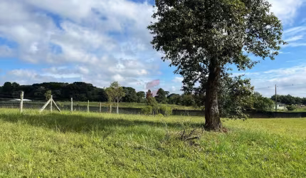 Terreno à venda na Rua Padre Phelippe Ledet, s/n, Planta Laranjeiras, Piraquara, 3672 m2 por R$ 660.000