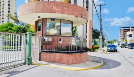 campos do cerrado