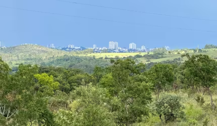 CHACARA DE 20.000 M² - ESCRITURADA- PRÓXIMO AO SERRA DOURADA - GAMA