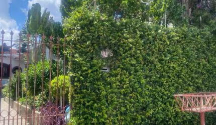 Casa com 2 quartos à venda na Avenida Cláudio Franchi, 613, Jardim Monte Kemel, São Paulo por R$ 800.000