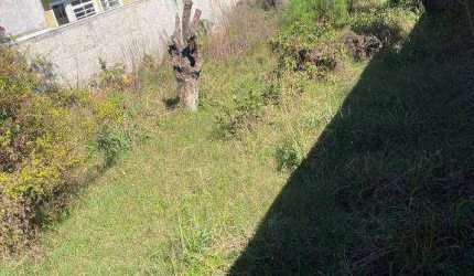 Terreno para alugar, 576 m² por R$ 2.646/mês - Lindóia - Curitiba/PR
